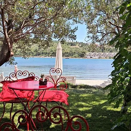 Διαμέρισμα New Apartman P & B Τρογκίρ