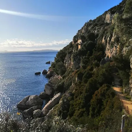 Апартаменты New Apartman P & B